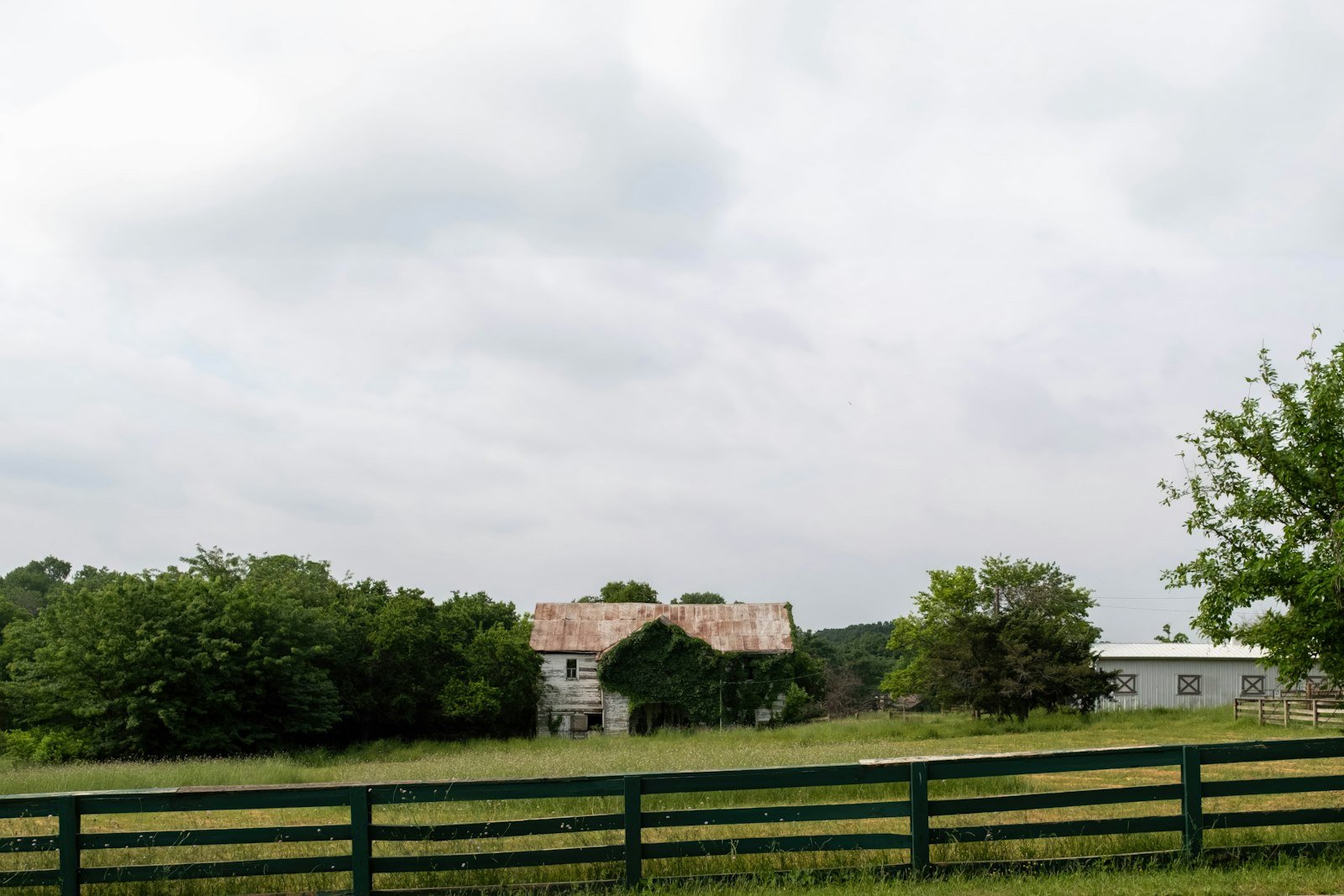 Texas homestead with acreage feel
