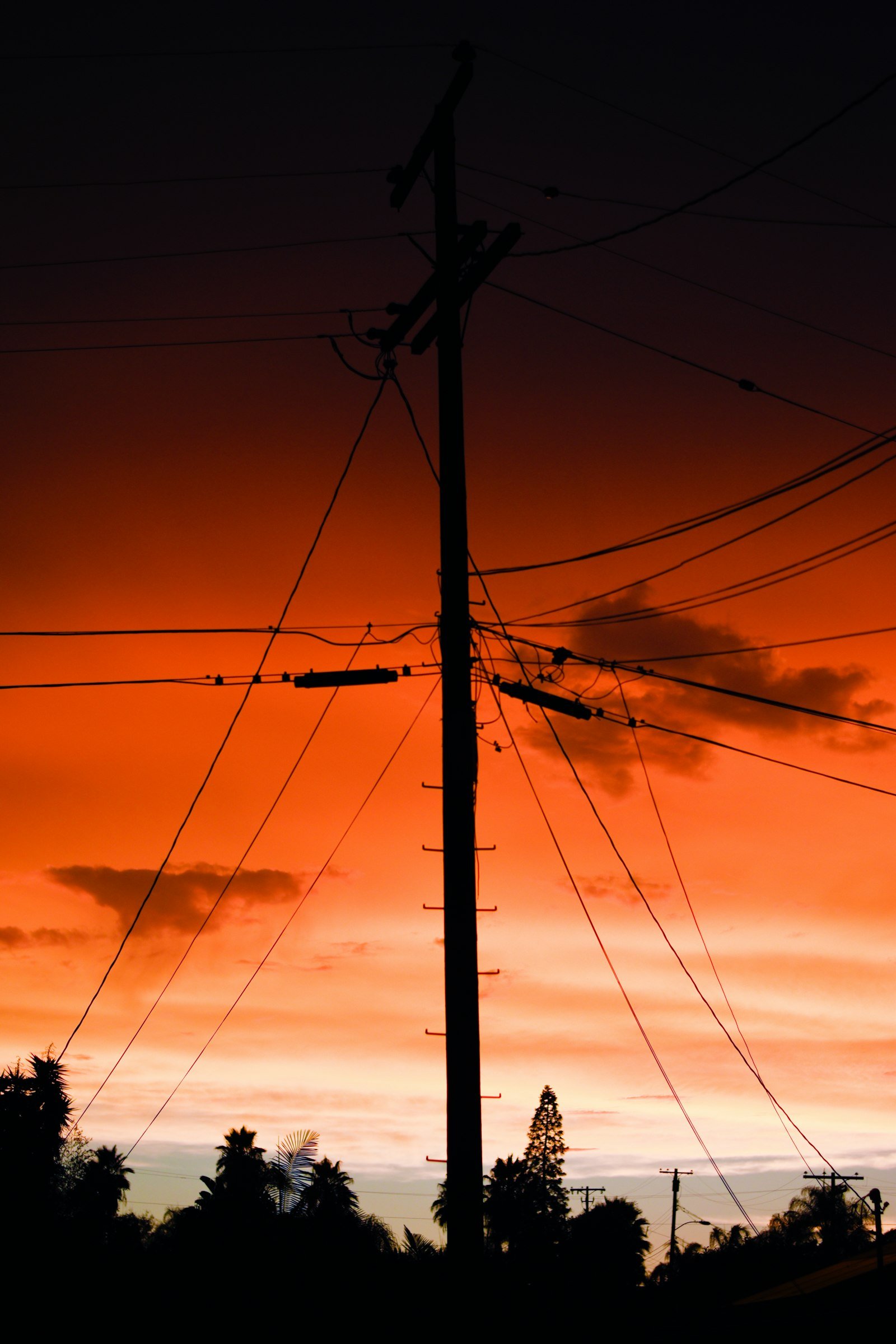 Texas telephone poles at sunset